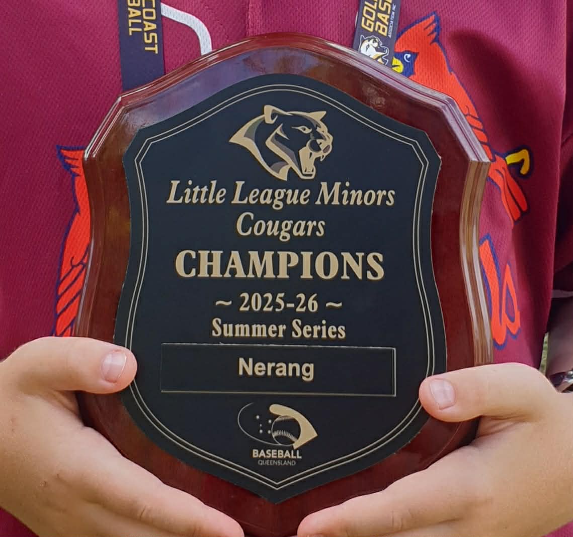 Little League Minors Cougars Champions plaque